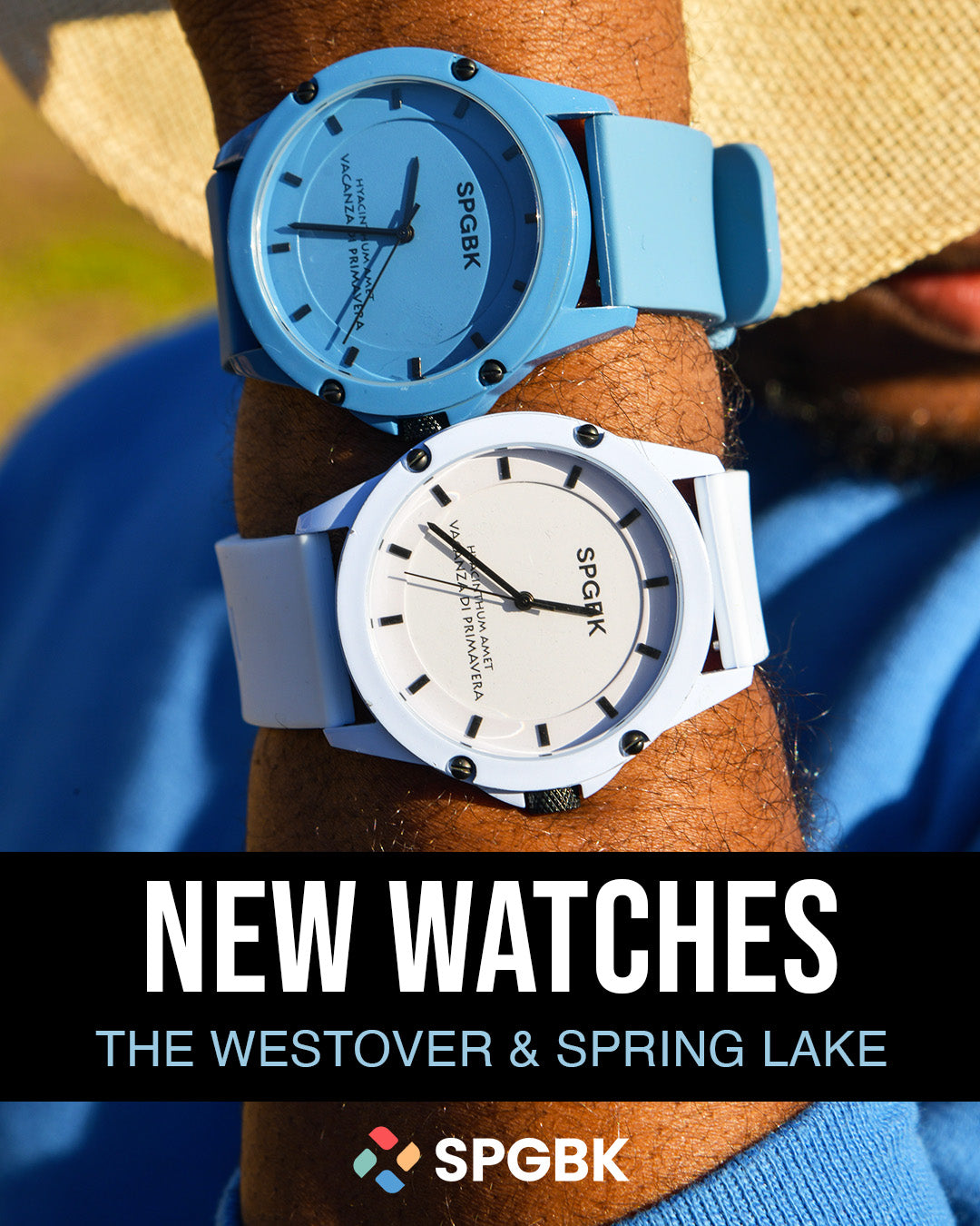 Blue Spring Watch Collections – Springbreak Watches