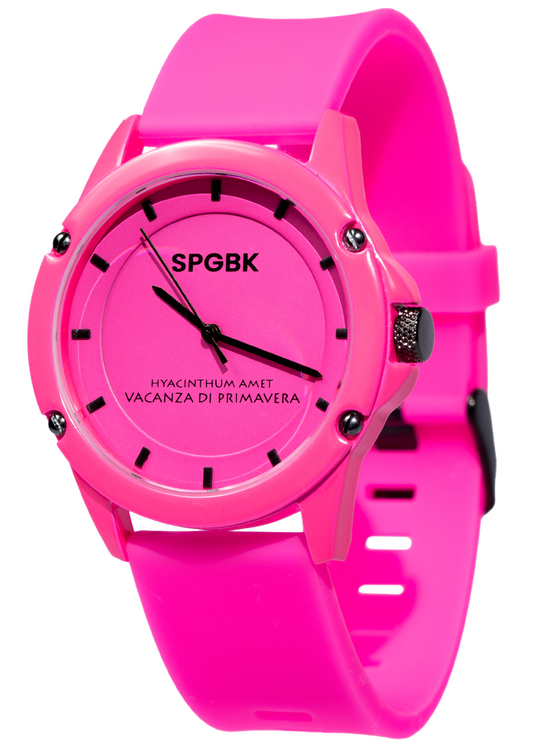 WATCHES – Springbreak Watches