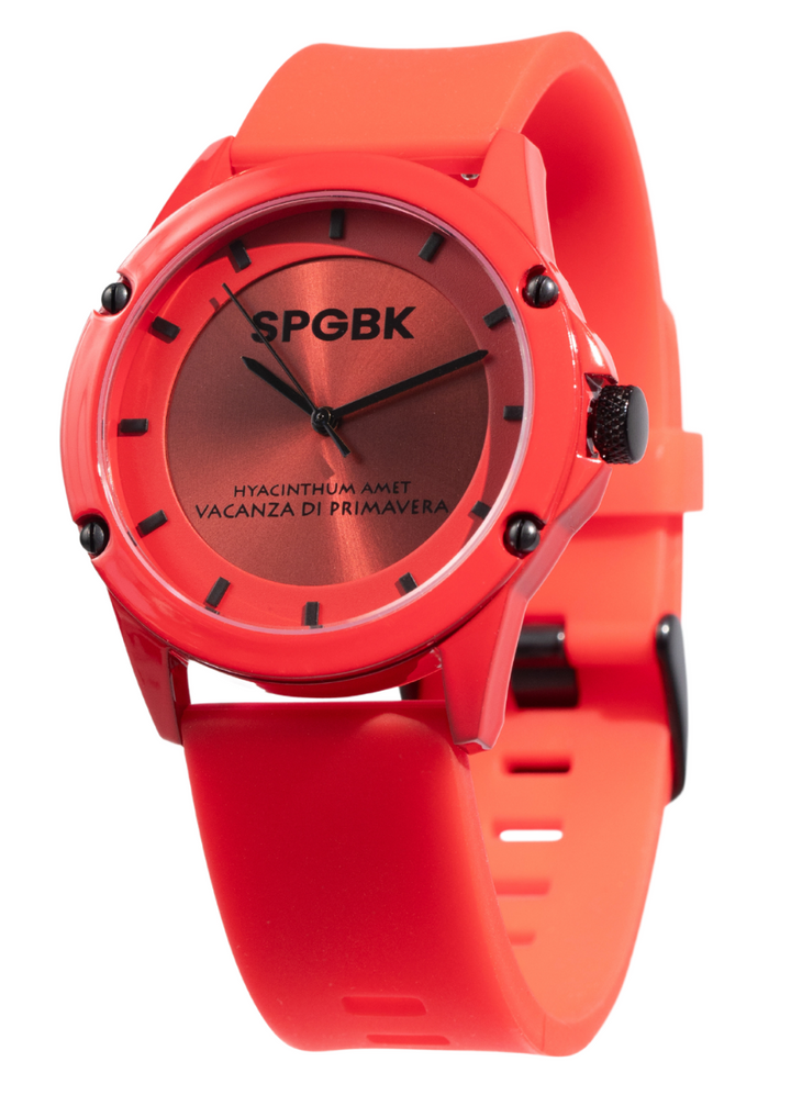Security Watch Spring Break Shop Fall Collection – Springbreak Watches