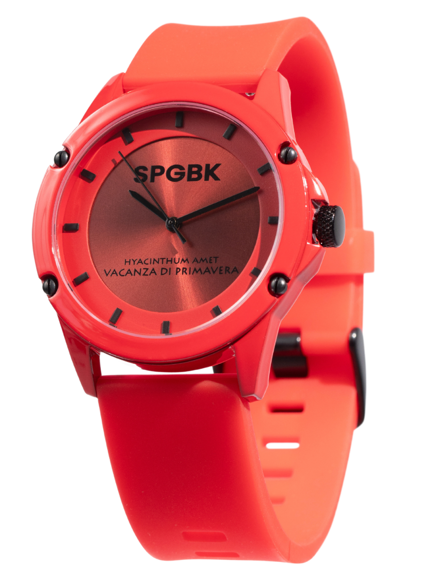 Shop Fall Collection – Springbreak Watches