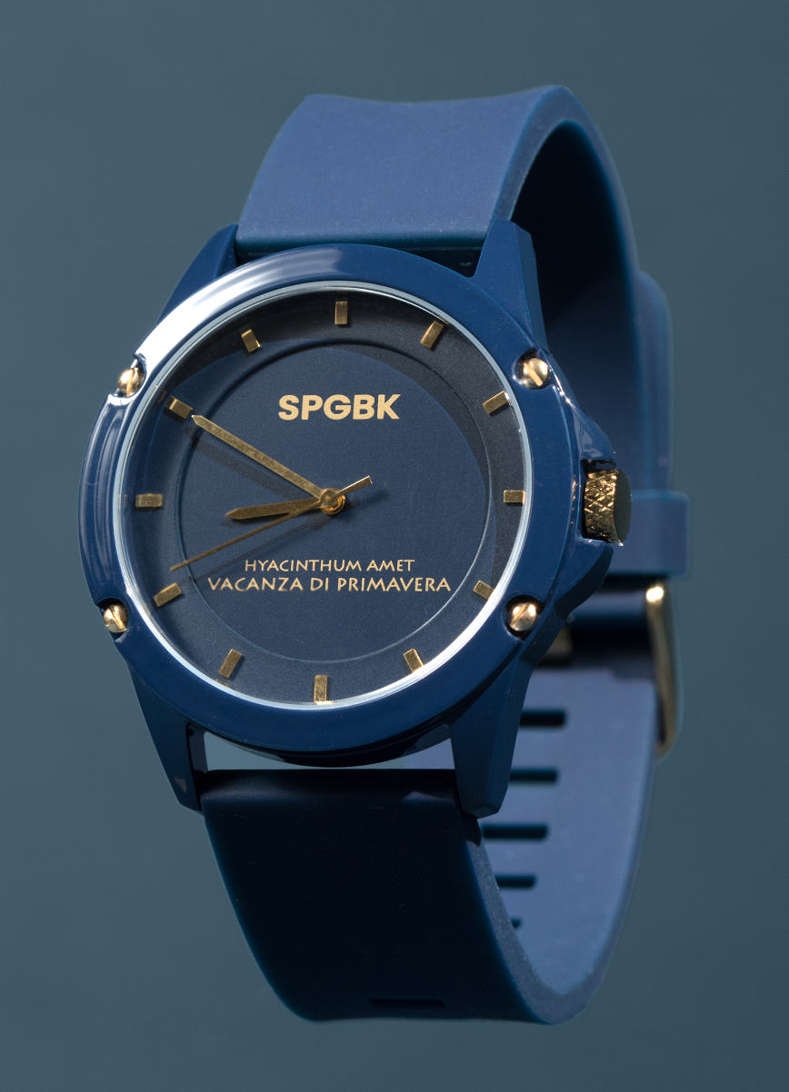 Smith, Navy & Old Gold Watch