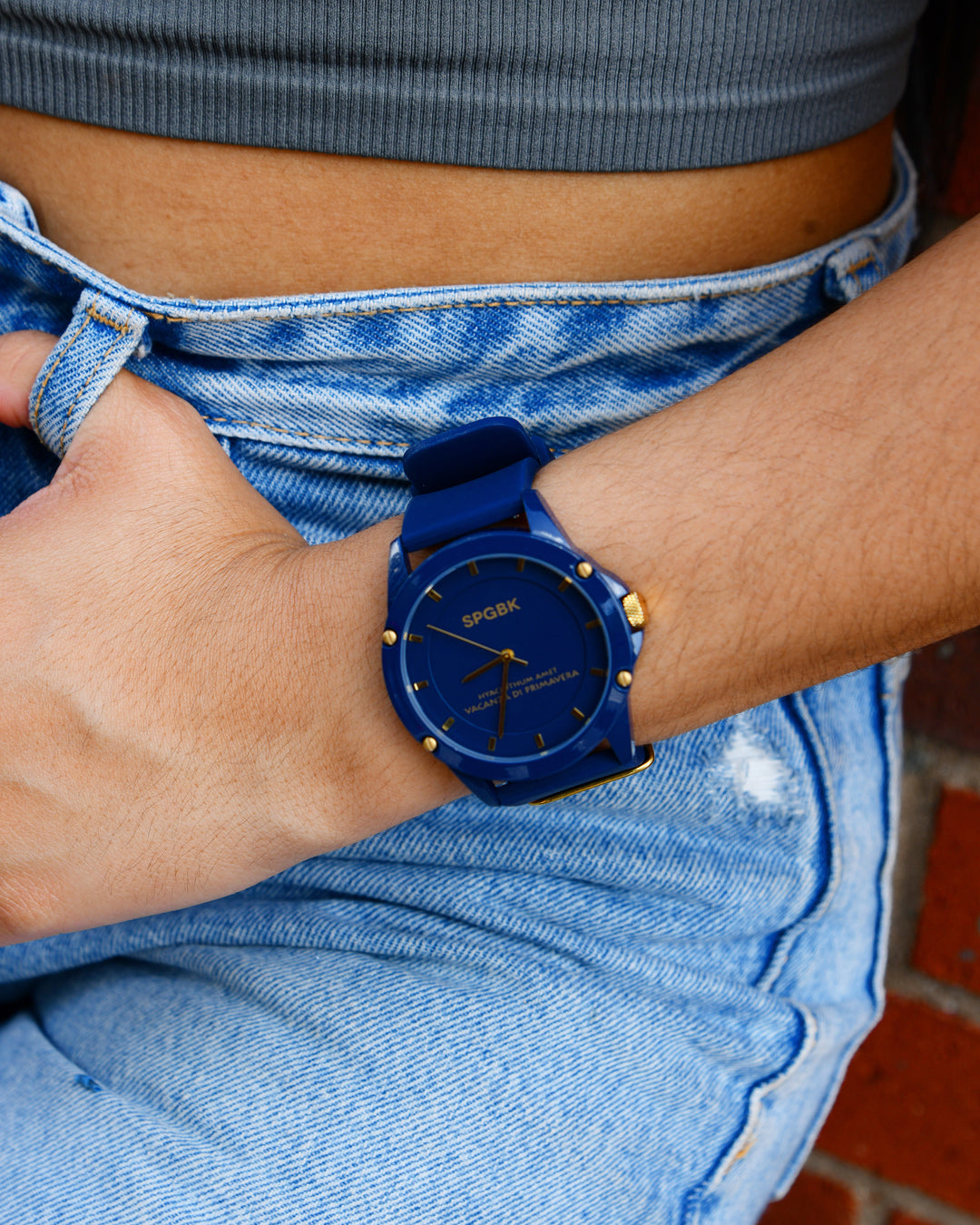 Smith, Navy & Old Gold Watch